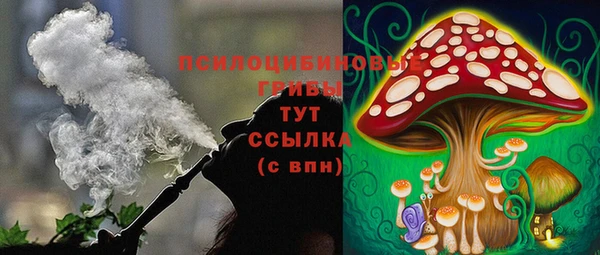 a pvp Алзамай