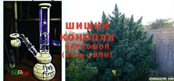 a pvp Алзамай